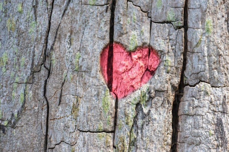Tree Connection